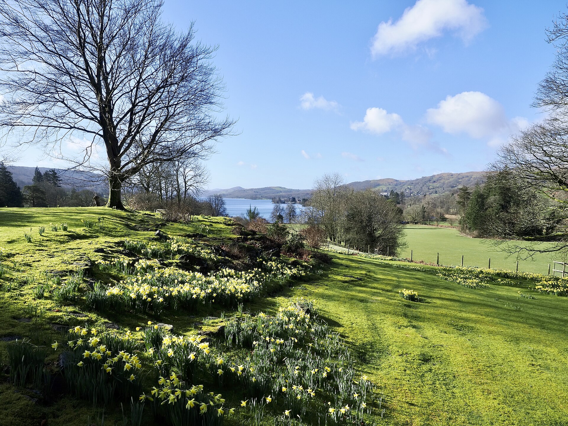 Monk Coniston Estate grounds